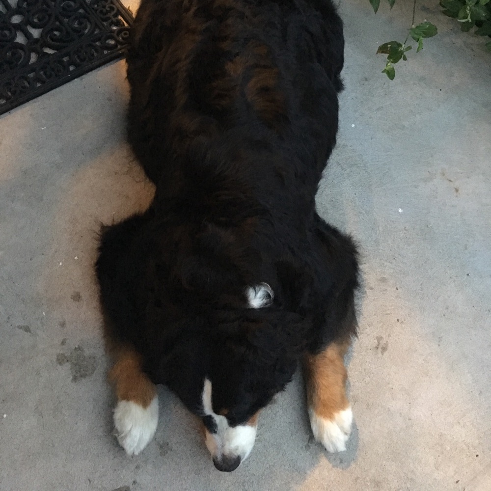 Meet your Posher, Mary